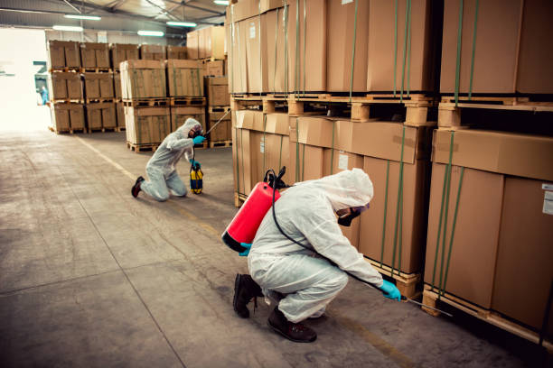 Best Residential Pest Control  in Blythe, CA