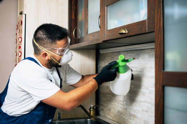 Best Pest Inspection Near Me  in Blythe, CA