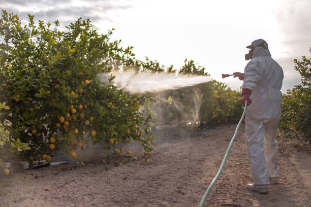 Wildlife Control Services in Blythe, CA