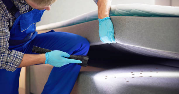 Best Wasp Removal Services  in Blythe, CA