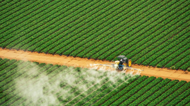 Professional Pest Control in Blythe, CA