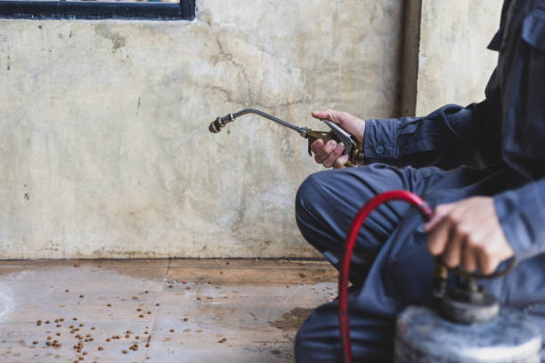 Best Pest Removal Services  in Blythe, CA